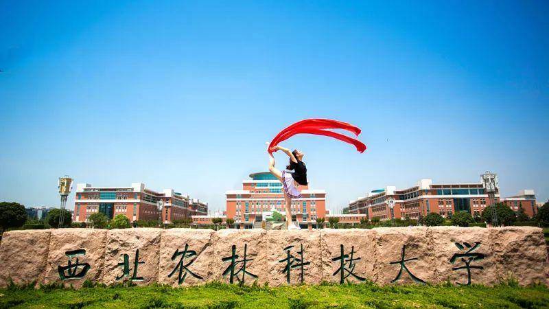 学科|性价比最高的985大学,顶尖王牌专业,高三学子值得报考