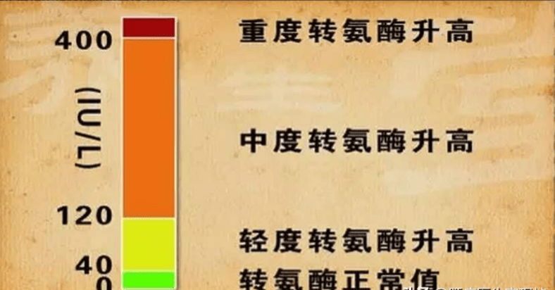 控制|肝病不要不放在心上，一旦发展到肝硬化再后悔就晚了