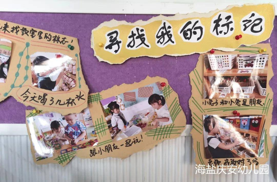区域规则《自然角—秘密基地 小乌龟不见了.它