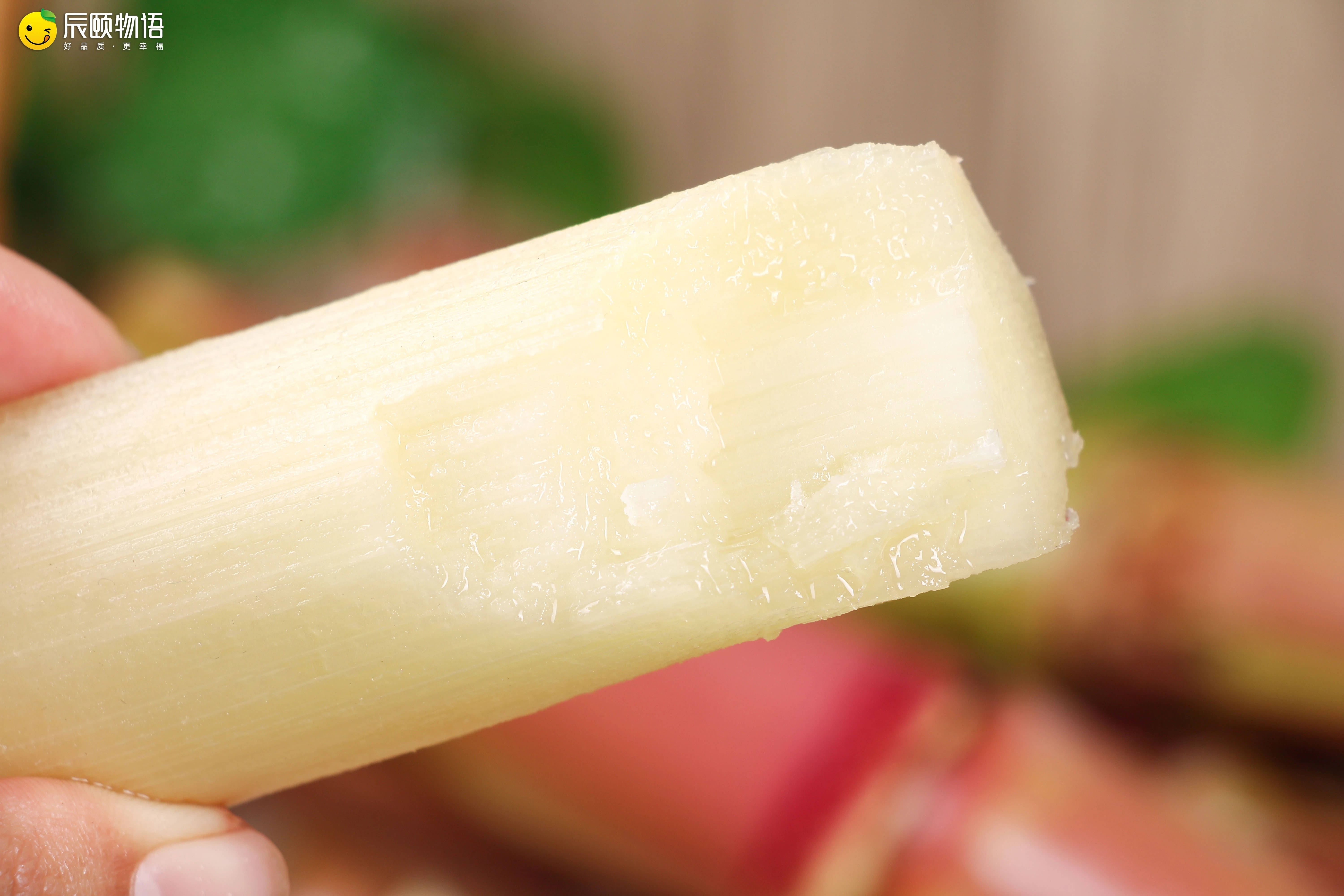 辰颐物语云南脆皮甘蔗可以用手撕的甘蔗它来啦