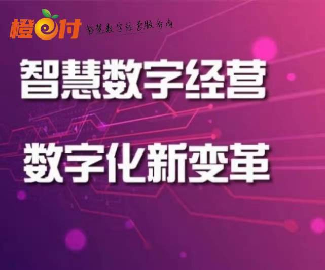 码支付个人免签约易支付第三方_码支付个人免签约源码_个人支付码