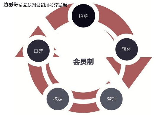 一文看懂 电商界的”会员制”模式营销_消费力_用户_品牌