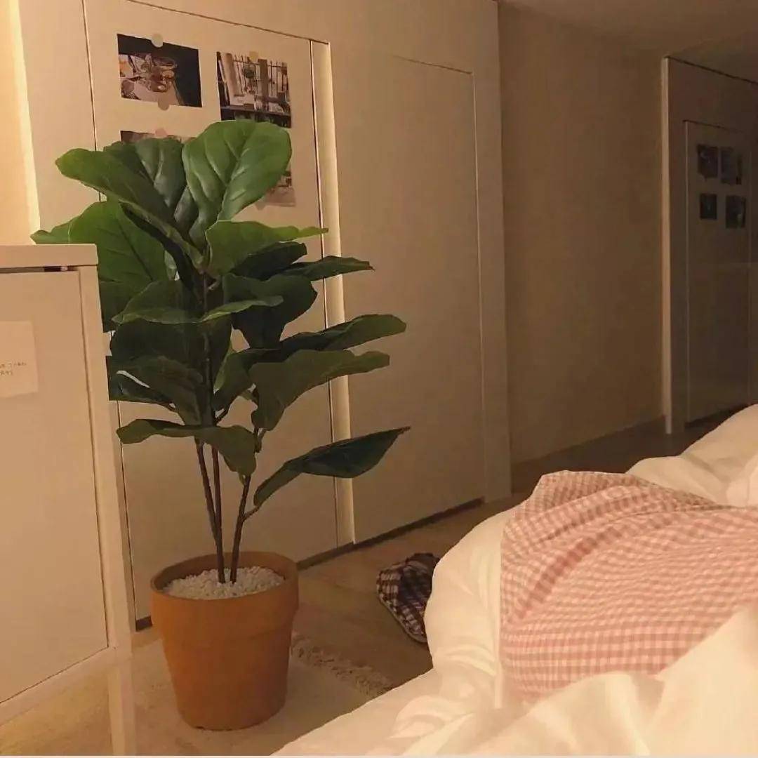 微信分享一组干净的ins风微信朋友圈背景图