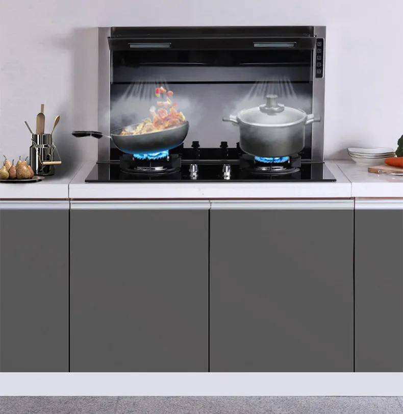 carde分体集成灶这种下厨境界就问你们爱不爱