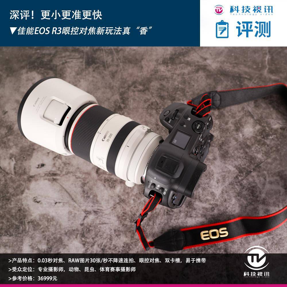 深评！更小更准更快佳能EOS R3眼控对焦新玩法真“香”_搜狐网