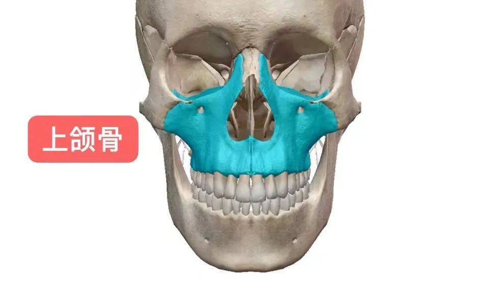 对比今天的吴宣仪，美到路过的蚂蚁都在夸：搞得值！