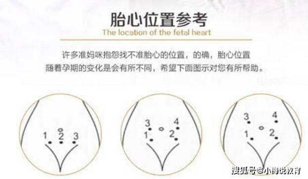 怎么才能减少怀孕的几率 678dafcc0cb849d58186bf4b77eae61c.jpeg