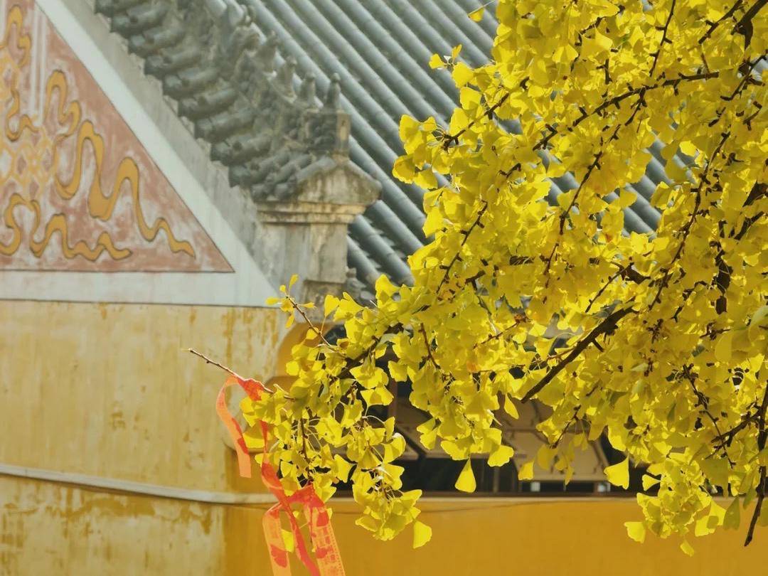 武汉现存的皇家寺院，距今已有1600年历史，被称武汉小故宫