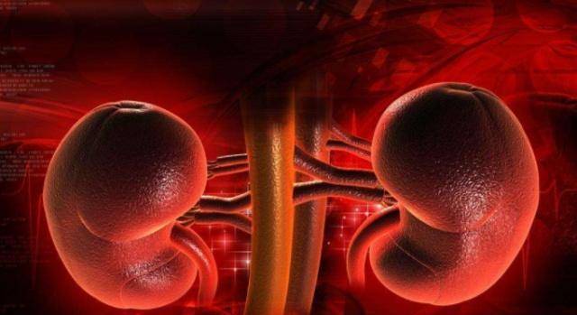 毒素|肾脏衰竭前,往往会有几个征兆,可能被多人忽视