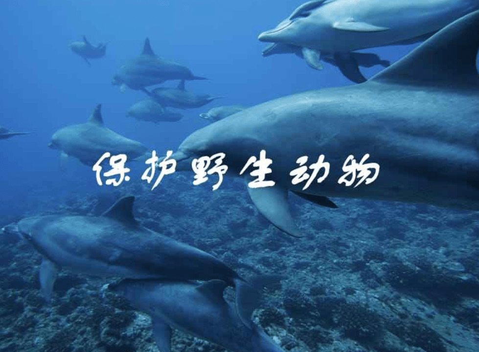 原创​3米长大蟒蛇惊现吉林小区！不是野生的，有人拿纸盒，把蛇扔地上