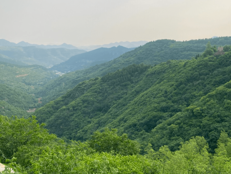 桑冉|这条济南海拔最高的公交线，竟然这么治愈系！