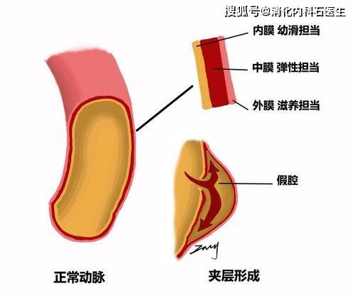 春节对联纸