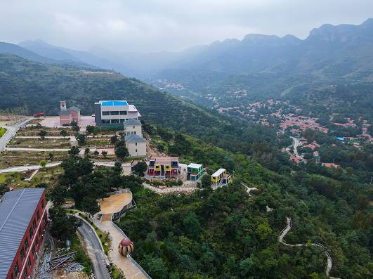 临朐县五井镇柿子产业结出乡村振兴甜蜜果