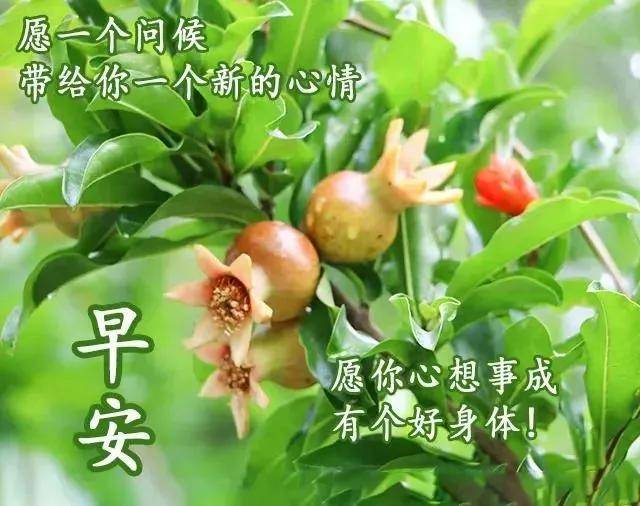 原創特別好看早晨早安表情動態圖大全每天溫暖的早上好問候短信