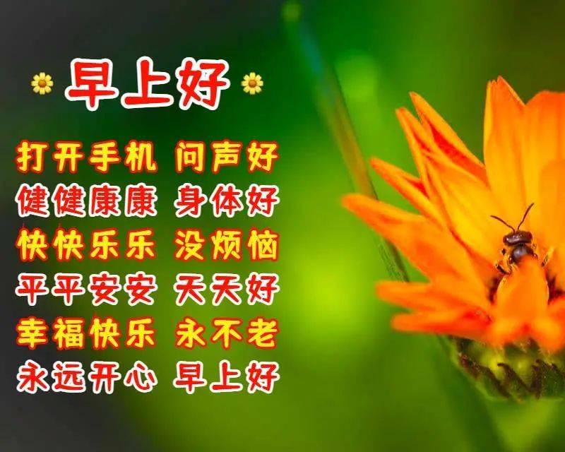 清早祝福大家的早上好问候语美图_开心_随你挑_行云流水