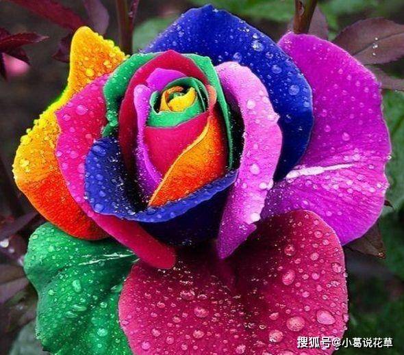 生肖运势喜事接二连三(2021年喜事接二连三生生肖女)