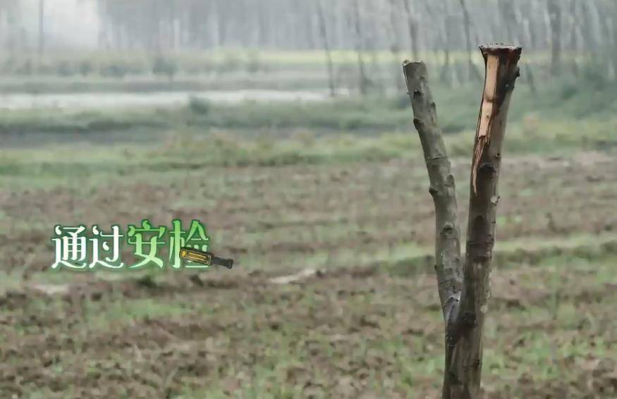 节目组|黄磊何炅遭遇“家徒四壁式”开局，张艺兴智斗节目组，带来好消息