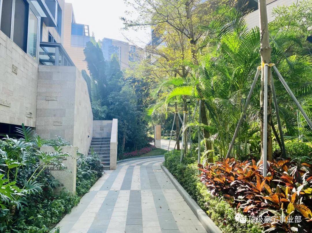 深圳鲸山觐海售楼处电话丨鲸山觐海独栋别墅售楼中心地址24小时电话