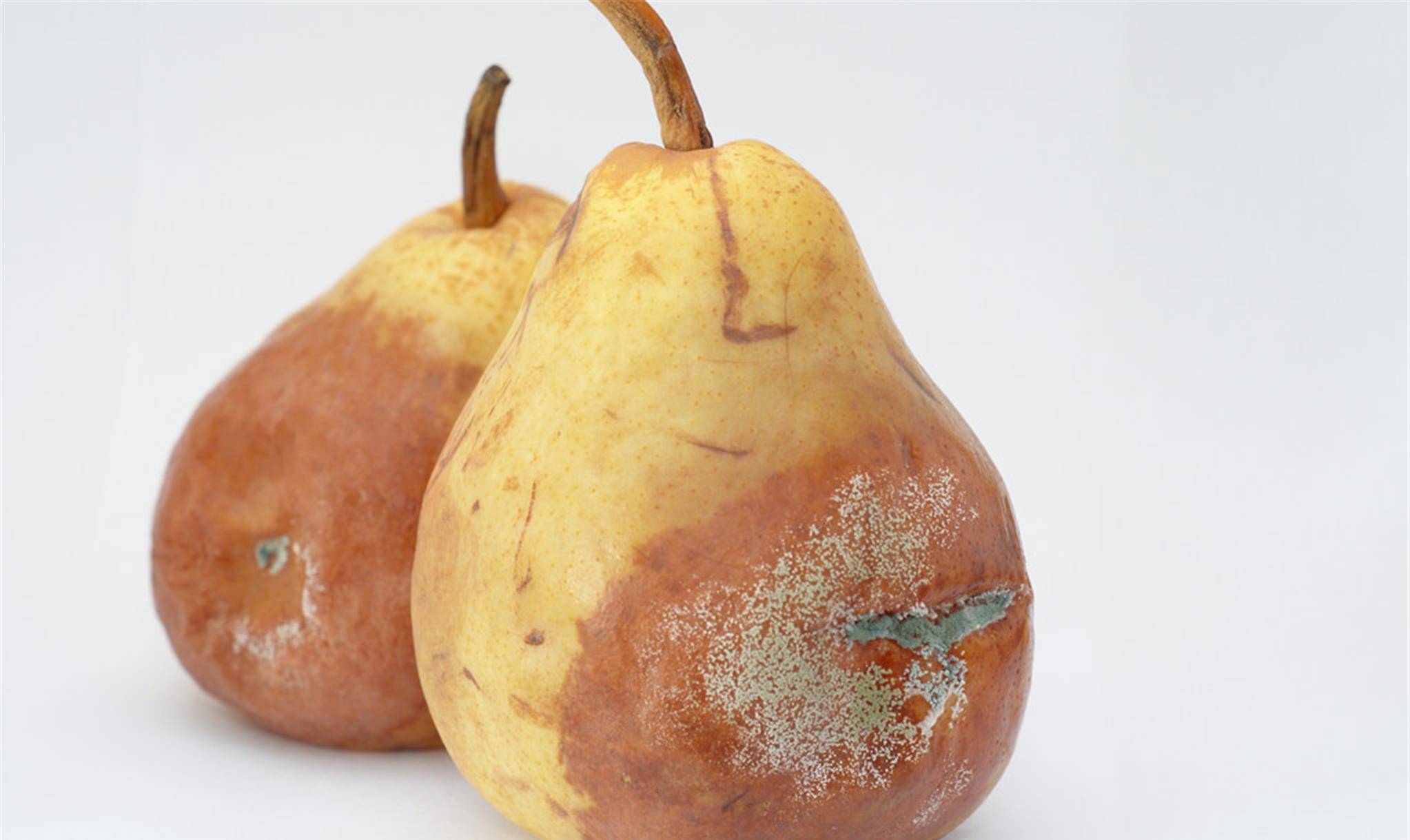 肝脏|肝不好的人，三件事最好避开！学会“三招”，给肝排排毒，少生病