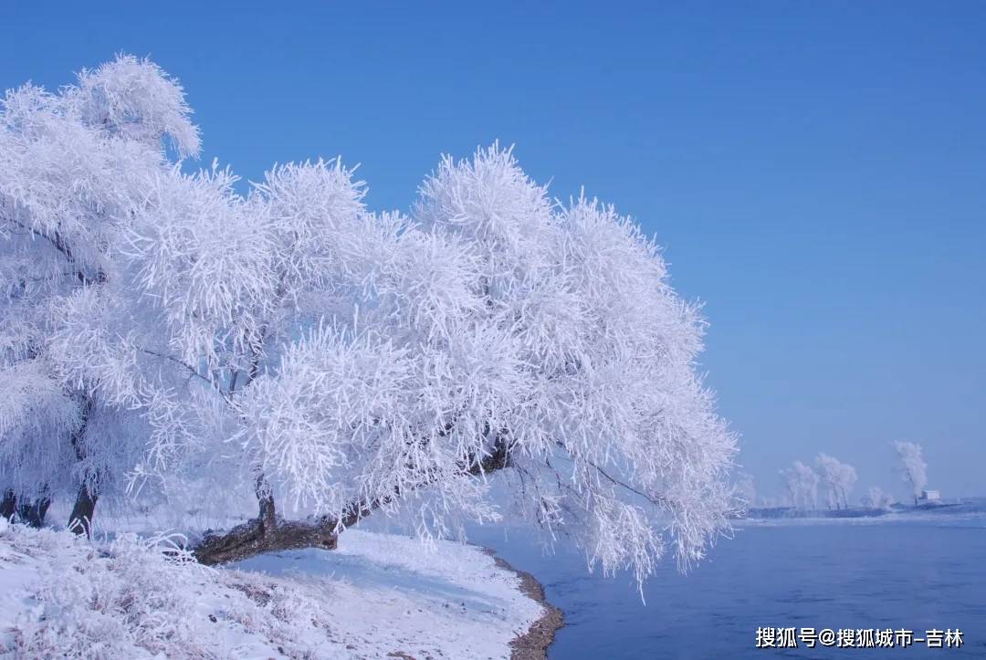 八大類48條線路,吉致玩雪體驗上新啦!_長白_冰雪_長春