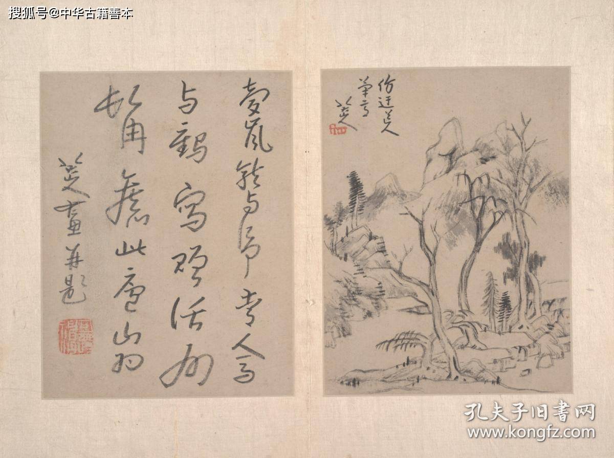 册页|八大山人绘画册页：明清水墨写意画划时代的大师