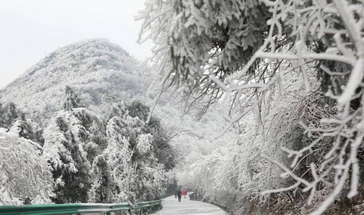 神州最南赏雪佳处 南岳衡山绝美雾凇等你来