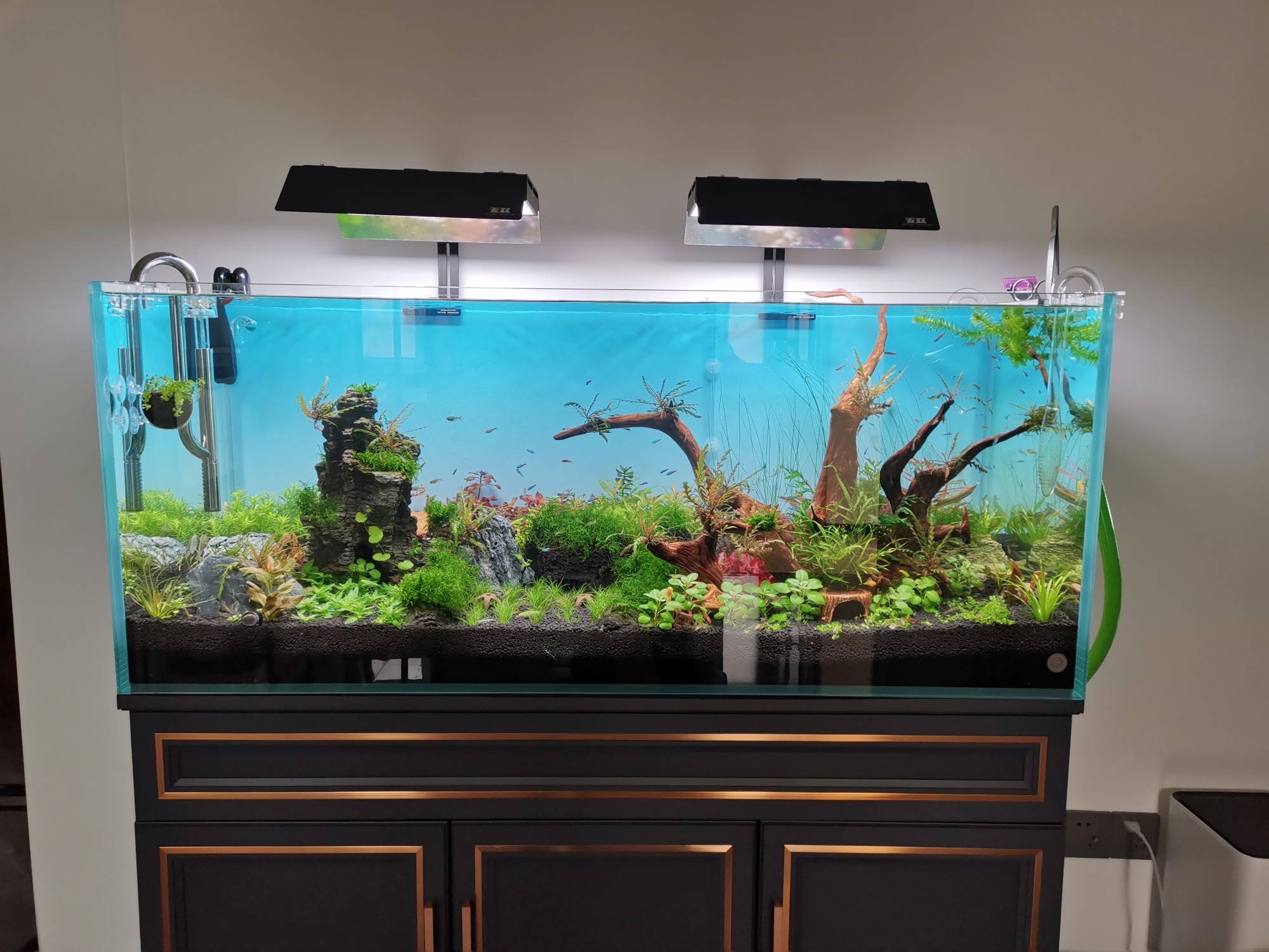 1,80鱼缸装水理论值计算市面上常见80鱼缸尺寸:长×宽×高分别为80