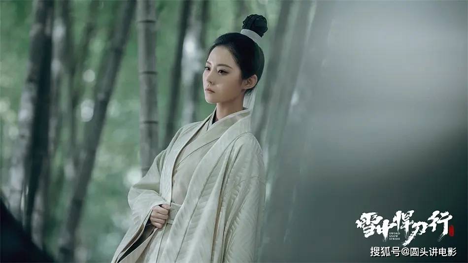 ptsd|近期很火的五部电视剧，《雪中悍刀行》排在第二，你在追哪一部？