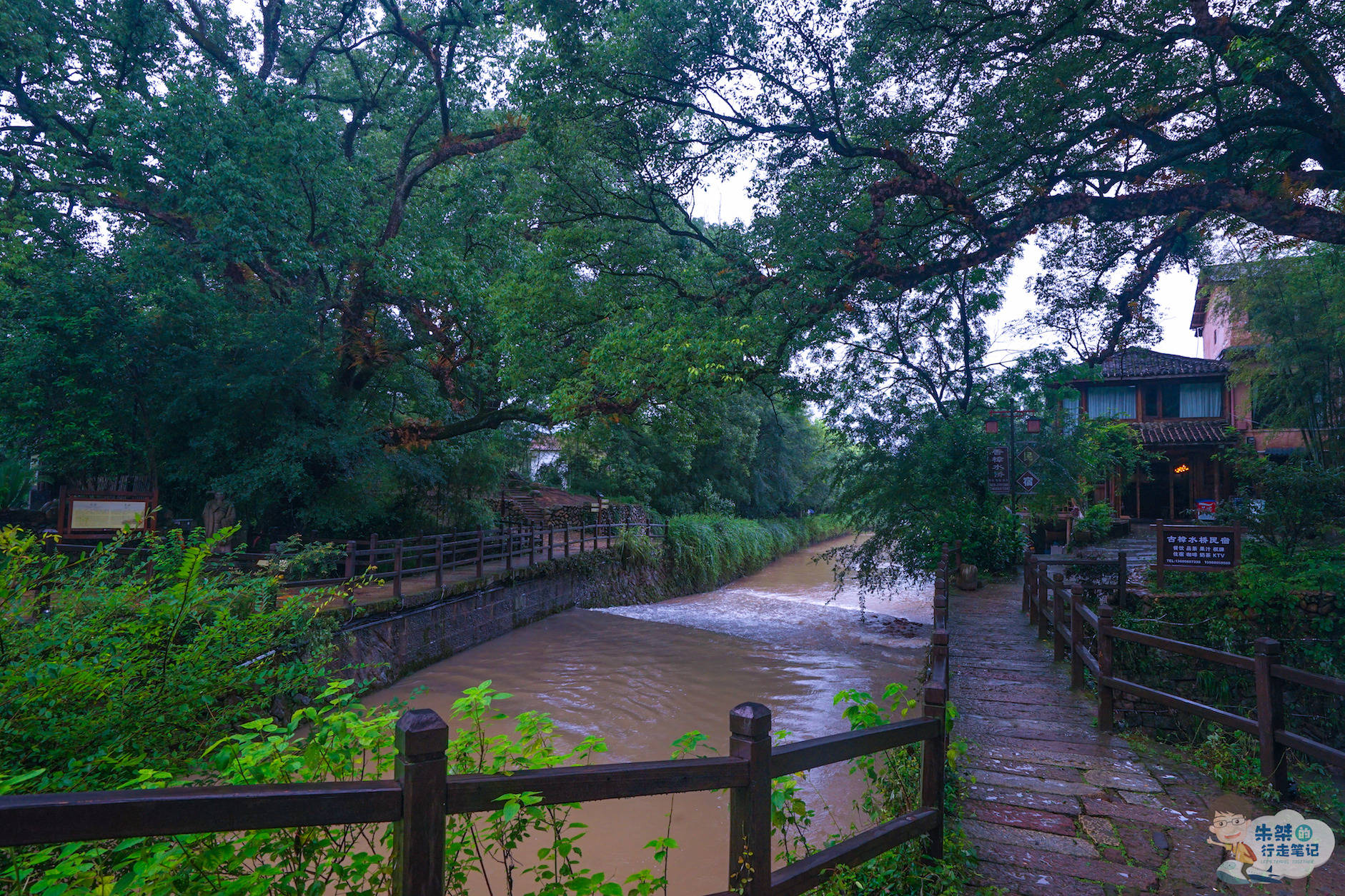 山水|浙江面积最大的地级市，有“江南最后秘境”之称，风景不输宏村