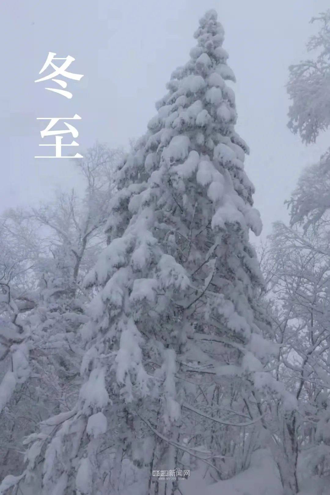 夜间|今日冬至，昼最短，夜最长丨本周哈市气温持续偏低