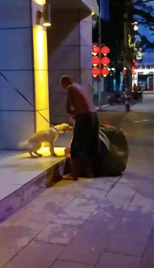 猫咪拾荒老人遇到狗狗，将自己宝贵的食物分享给它吃，这才是真爱吧？