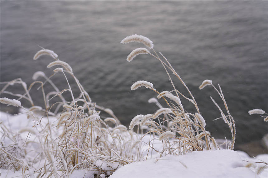 阿什|雾凇仙境，滑雪天堂，解锁吉林市的N种玩法，让这个冬天与众不同