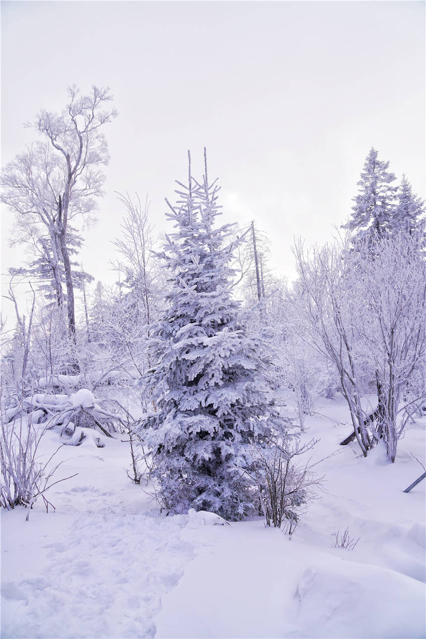 阿什|雾凇仙境，滑雪天堂，解锁吉林市的N种玩法，让这个冬天与众不同