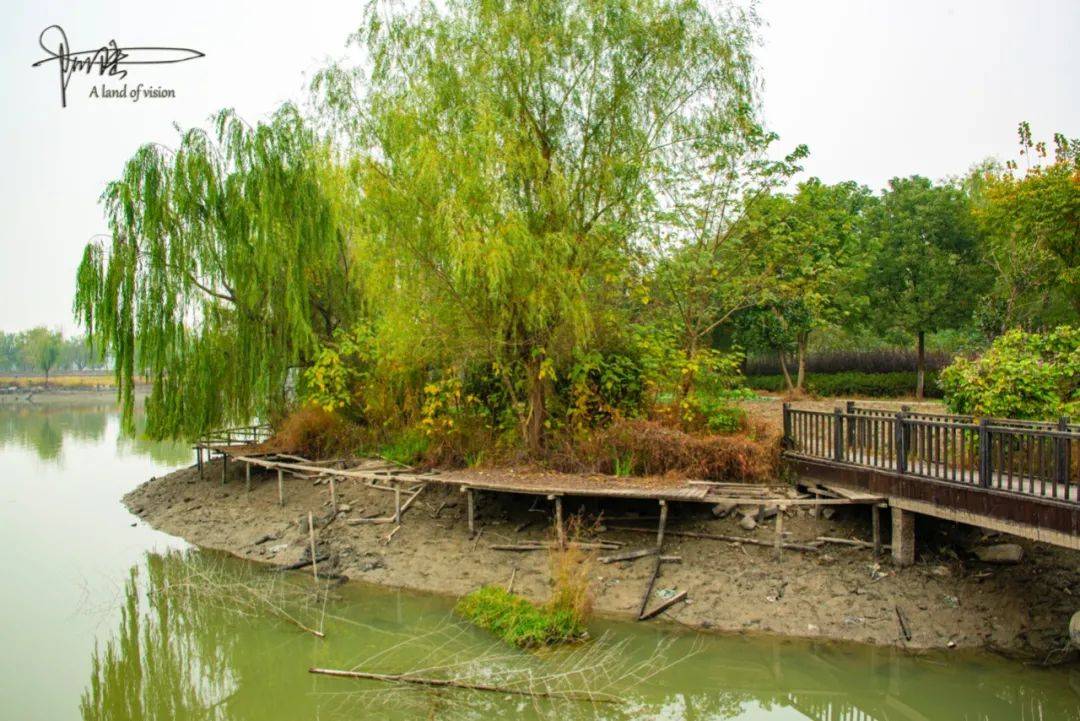 在杭州西湖区的一个角落里，有个千萍湖似乎已经被人遗忘