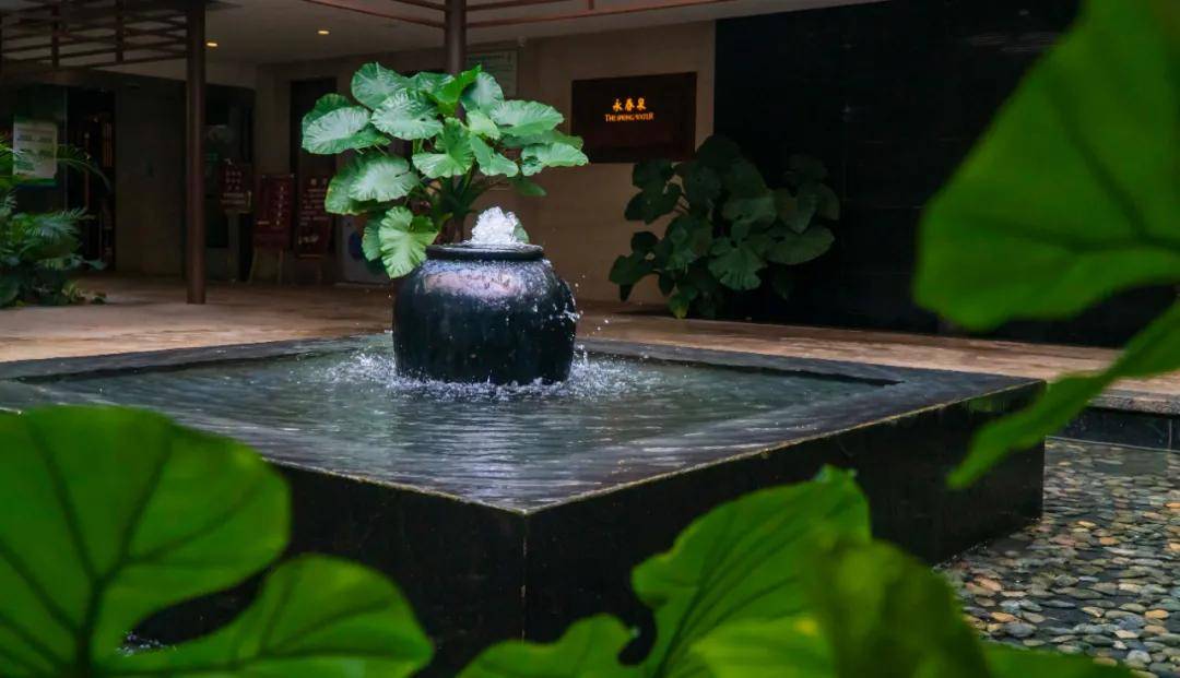 500亩生态农场藏着永春泉自助餐的秘密