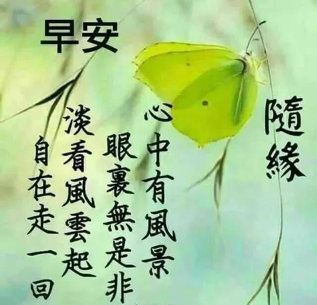 9353783c5a594f089240c3817483e865.jpeg