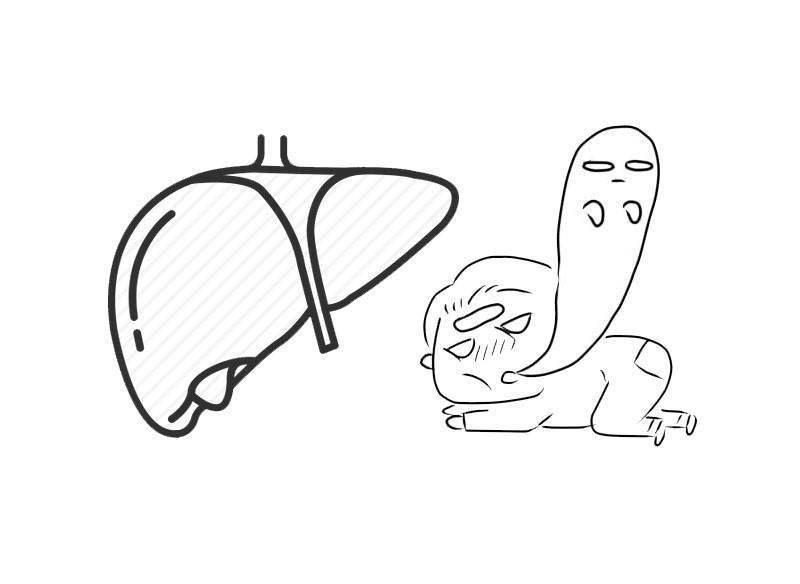 我国|共同就餐、握手并不会感染！但若跟乙肝患者做这件事，还需要警惕