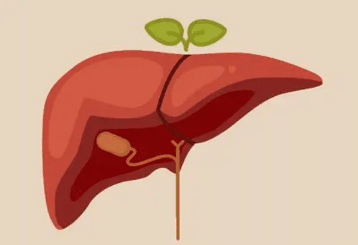 毒素|肝胆医生提醒:肝不好,晨起会有4种表现,若一个不占,肝还健康