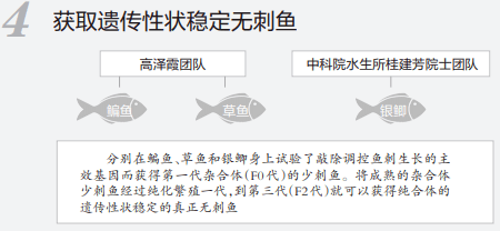 团队|什么？以后吃鱼可以不用挑刺了？