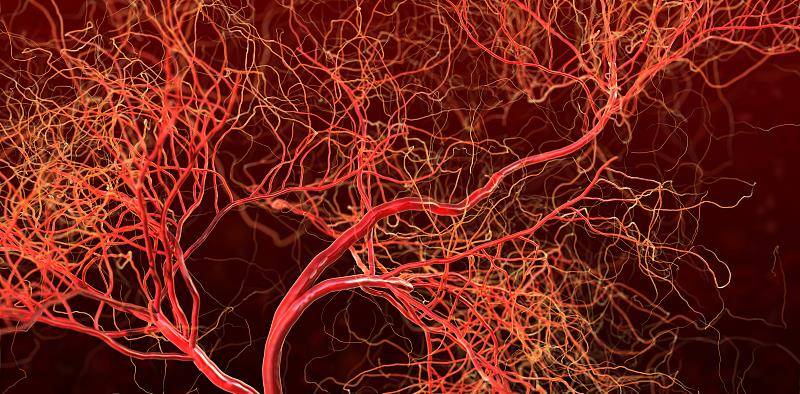 症状|过敏性紫癜未阐明病因,要与5大疾病区分,并发症检查也不能忽视