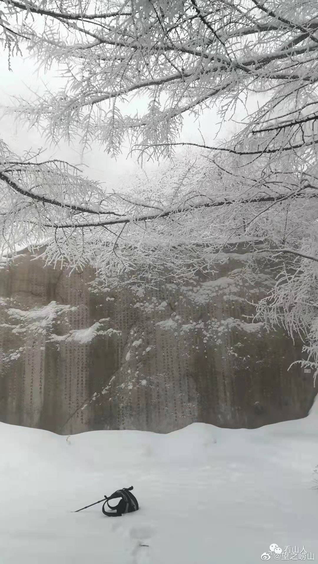 黄岛|撒盐空中差可拟｜2021青岛初雪，快来欣赏各区雪景～