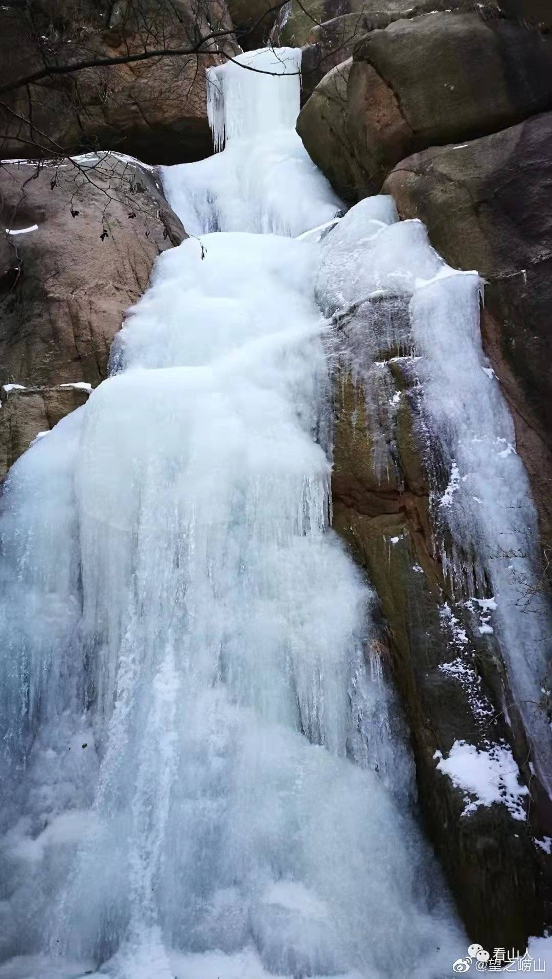 雪景|雪后青岛：雪中景、雪中忙、雪中情、雪中乐……集全了