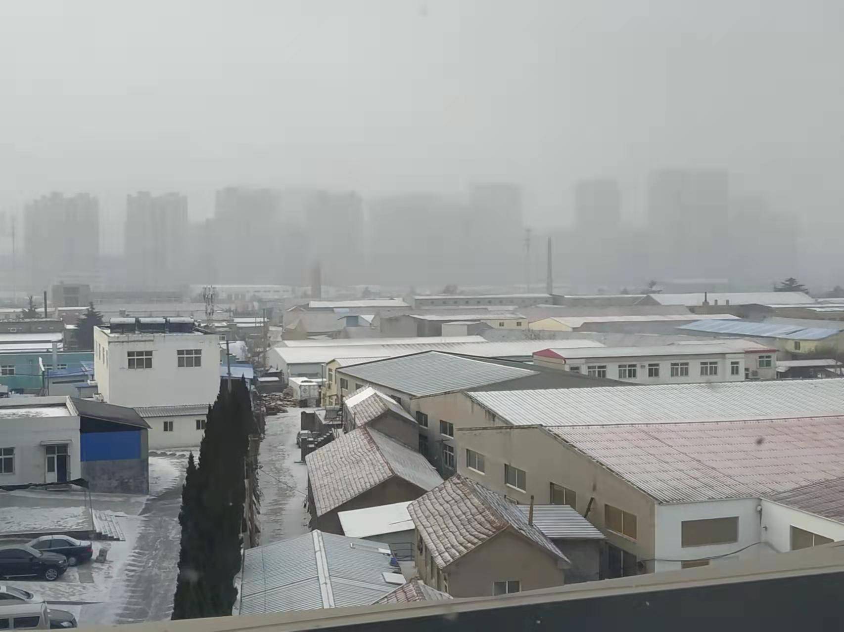 黄岛|撒盐空中差可拟｜2021青岛初雪，快来欣赏各区雪景～