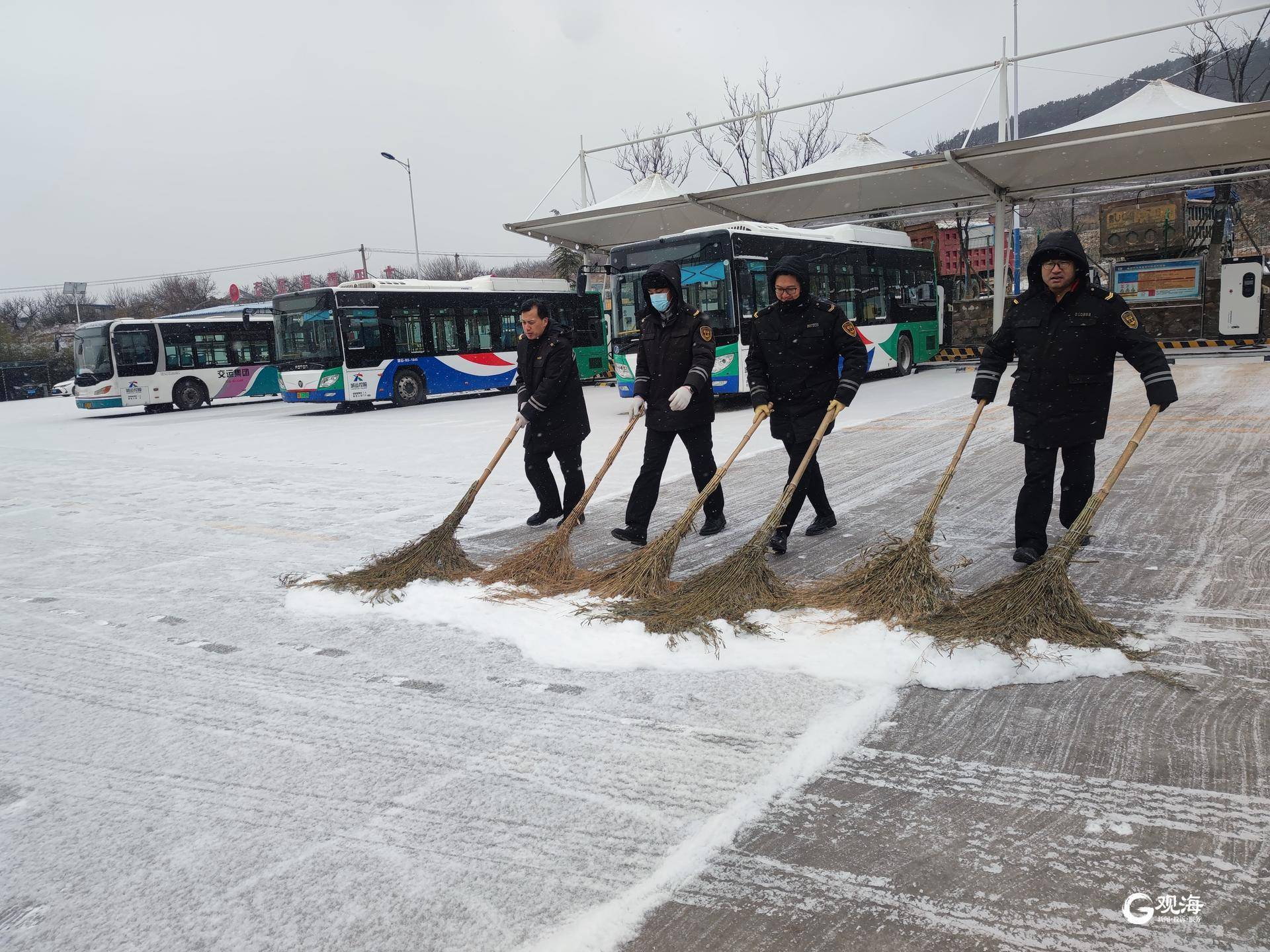 雪景|雪后青岛：雪中景、雪中忙、雪中情、雪中乐……集全了