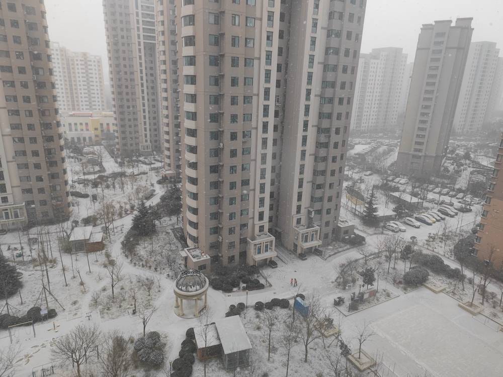 黄岛|撒盐空中差可拟｜2021青岛初雪，快来欣赏各区雪景～