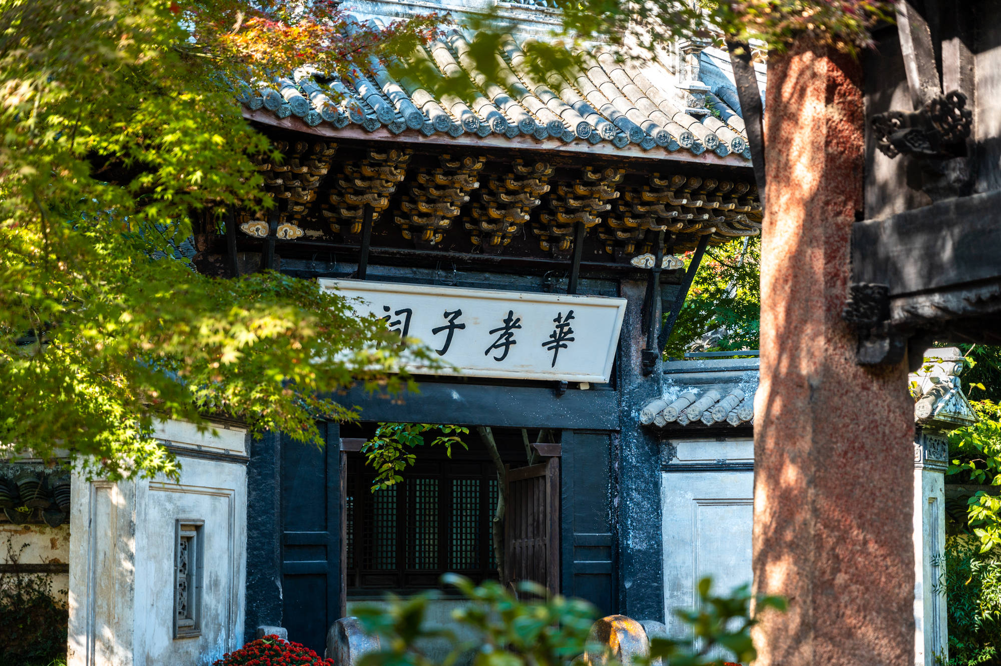 千年古刹惠山寺，内藏600岁银杏树、800岁金莲石桥，你去过吗？
