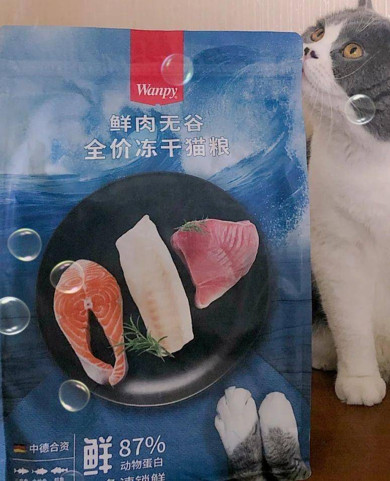 猫腮怎么办