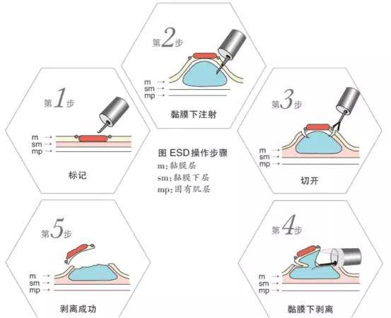 技术骨干|开拓创新 打造专业新形象