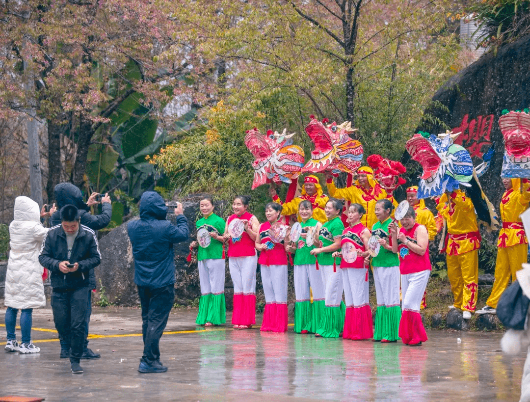 瑞邦|腾冲周边游丨冬日游樱花谷