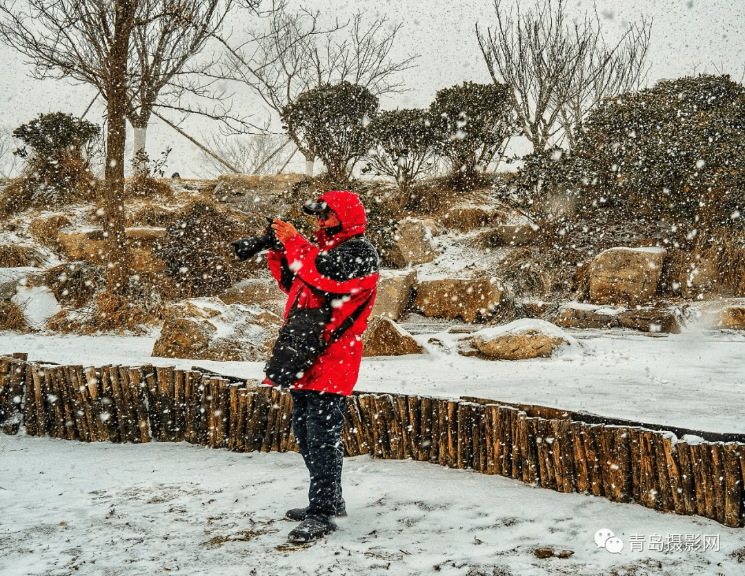 柳絮|一月一题 | 雪，让这个世界变得温柔而浪漫